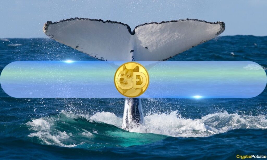 Dogecoin Whale